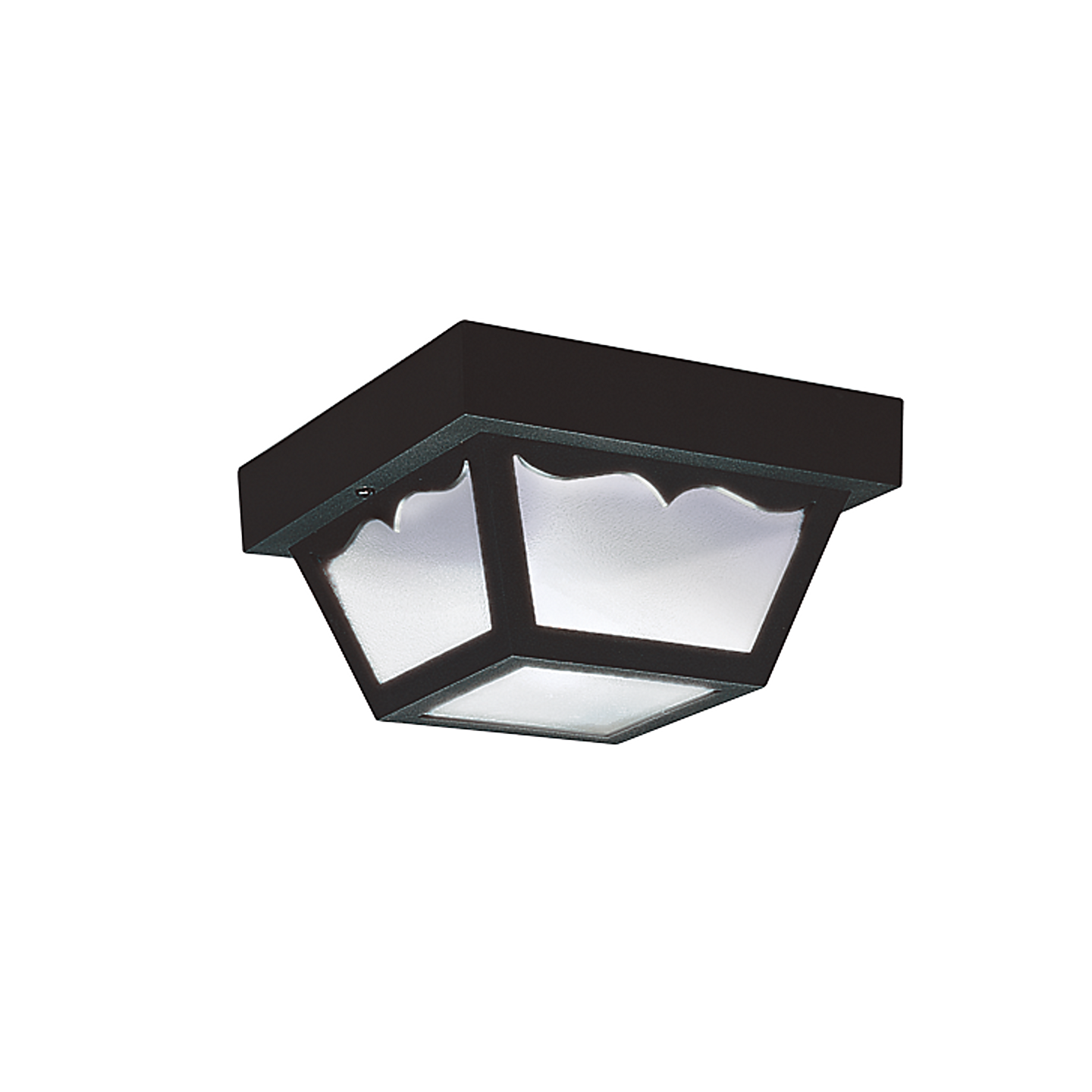 Outdoor Ceiling 1-Light Flush Mount
