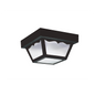 Outdoor Ceiling 1-Light Flush Mount