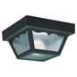 Outdoor Ceiling 2-Light Flush Mount
