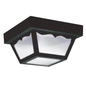 Outdoor Ceiling 2-Light Flush Mount