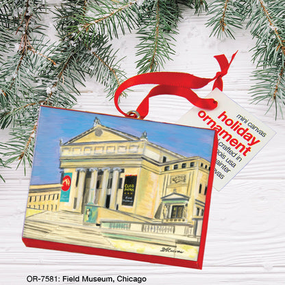Field Museum, Chicago, Ornament (OR-7581A)