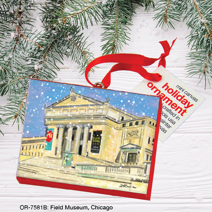 Field Museum, Chicago, Ornament (OR-7581B)