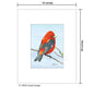 Scarlet Tenager, Print (#7697B)