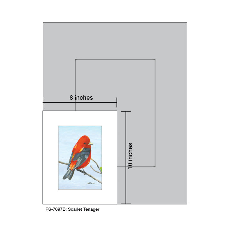 Scarlet Tenager, Print (#7697B)