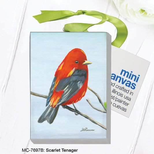 Scarlet Tenager, Mini Canvas (MC-7697B)