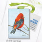 Scarlet Tenager, Mini Canvas (MC-7697B)