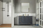 Paloma 48" Dark Gray Bathroom Vanity with Quartz Top & Gold Hardware