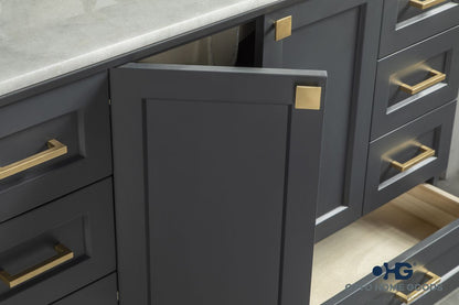 Paloma 48" Dark Gray Bathroom Vanity with Quartz Top & Gold Hardware