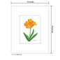 Bush Lily, Print (#7715A)