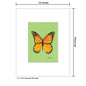 Monarch Butterfly, Print (#7752J)