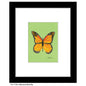 Monarch Butterfly, Print (#7752J)