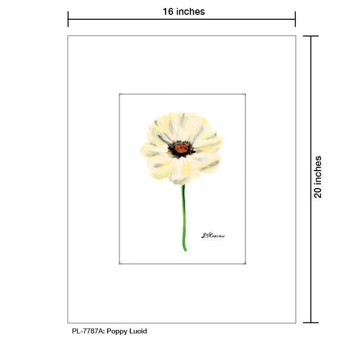 Poppy Lucid, Print (#7787A)