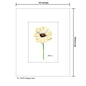 Poppy Lucid, Print (#7787A)