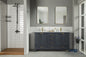 Paloma 60" Dark Gray Double Bathroom Vanity with Quartz Top & Gold Hardware
