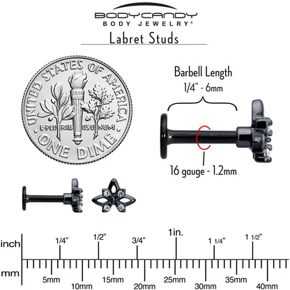 16G Clear CZ Gem Black Gothic Star Flat Back Earring