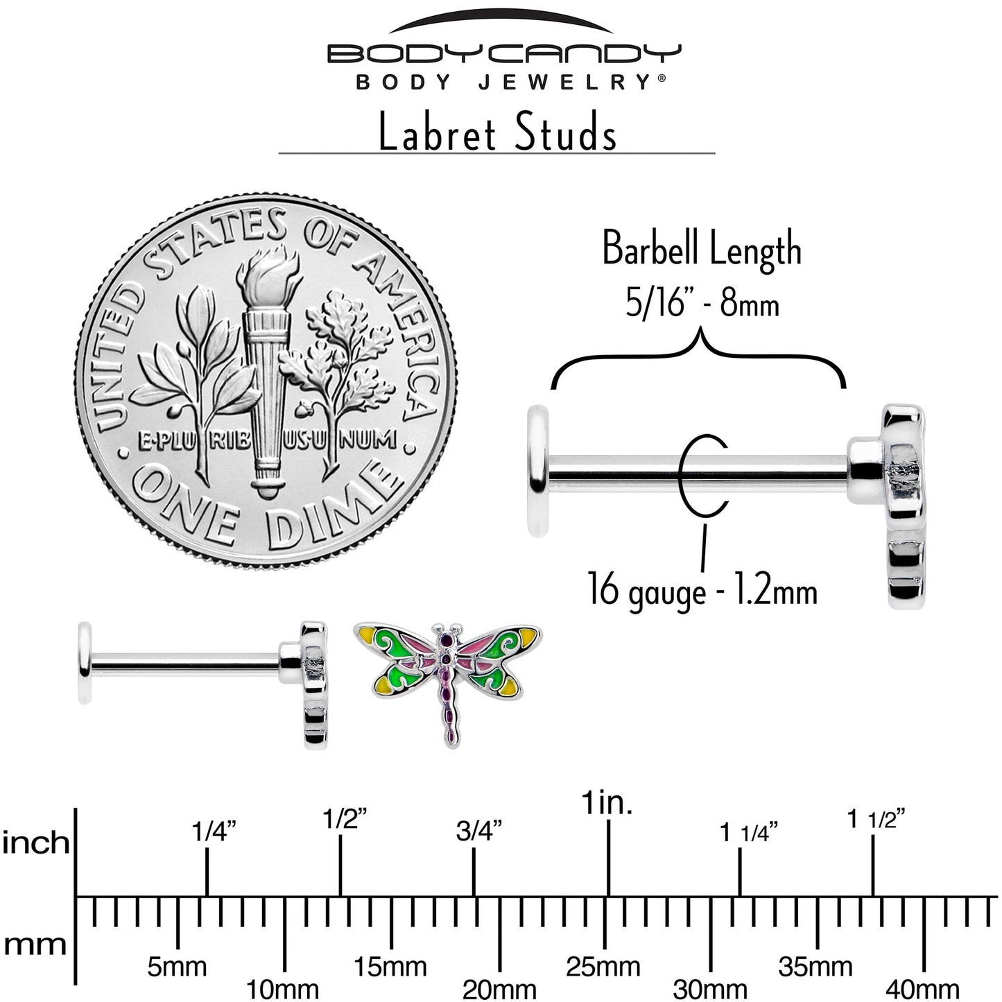 16G Dragonfly Colors Flat Back Earring