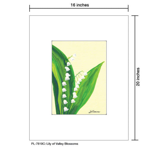 Lily of the Valley Blossoms, Print (#7819C)