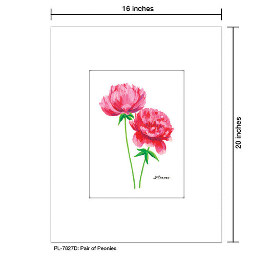 Pair of Peonies, Print (#7827D)