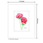 Pair of Peonies, Print (#7827D)