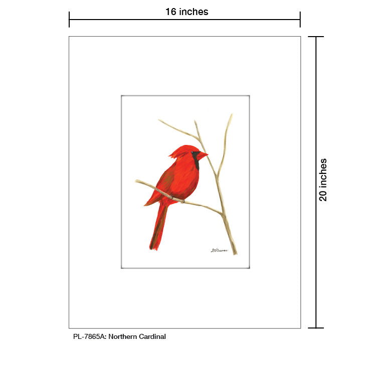 Northern Cardinal, Print (#7865A)