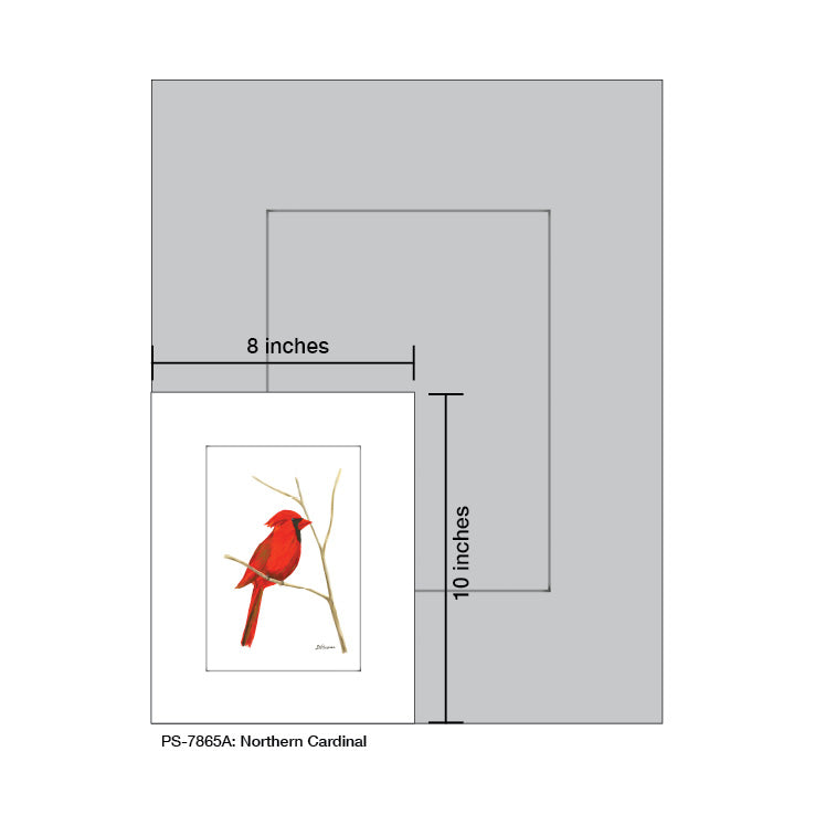 Northern Cardinal, Print (#7865A)