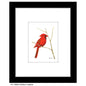 Northern Cardinal, Print (#7865A)