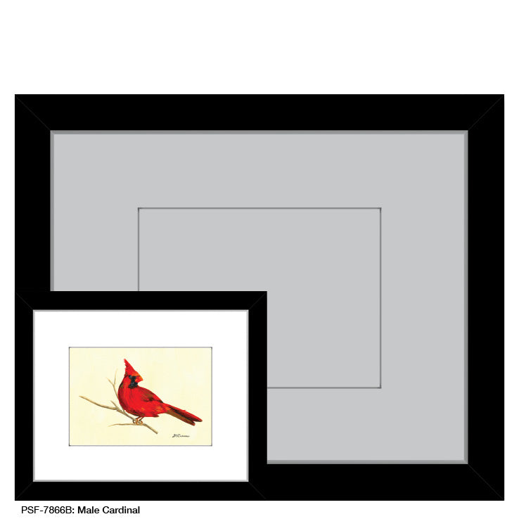 Male Cardinal, Print (#7866B)