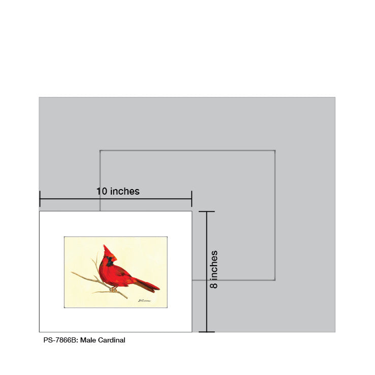 Male Cardinal, Print (#7866B)
