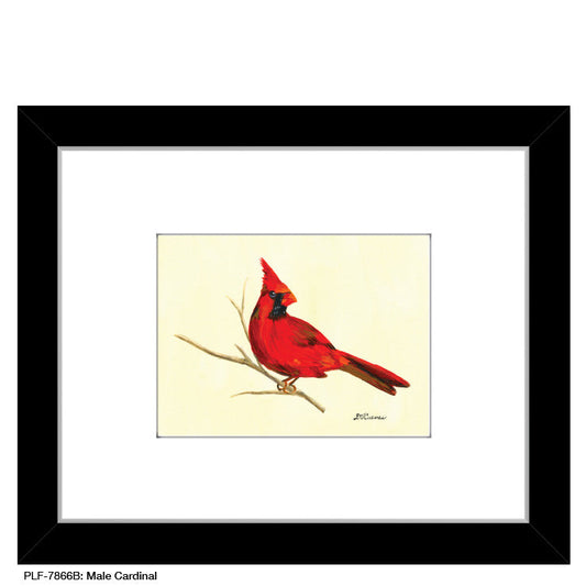 Male Cardinal, Print (#7866B)