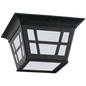Herrington Two Light Outdoor Flush Mount 79131