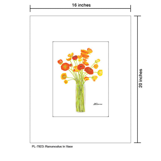 Ranunculus in Vase, Print (#7923A)