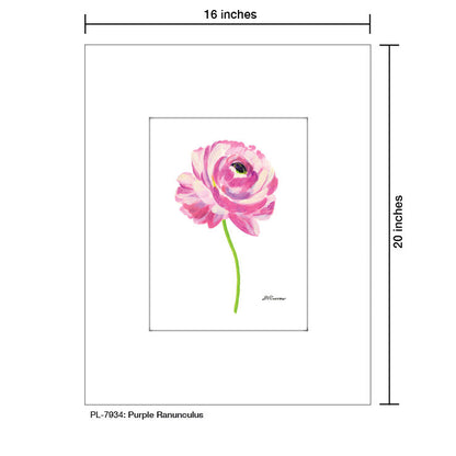 Purple Ranunculus, Print (#7934A)