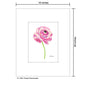 Purple Ranunculus, Print (#7934A)