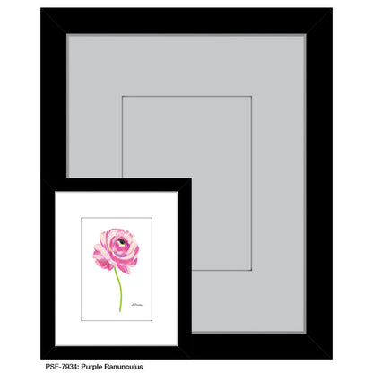 Purple Ranunculus, Print (#7934A)