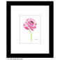 Purple Ranunculus, Print (#7934A)
