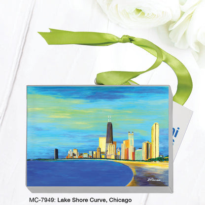 Lake Shore Curve, Chicago, Mini Canvas (MC-7949A)
