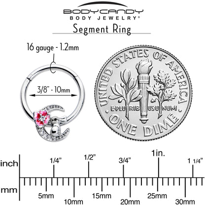 16G 3/8 Clear CZ Gem Rabbit On The Moon Pink Hinged Segment Ring