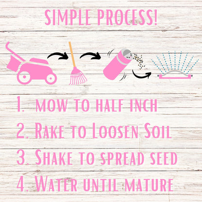 Creeping Thyme Easy Spread Shaker