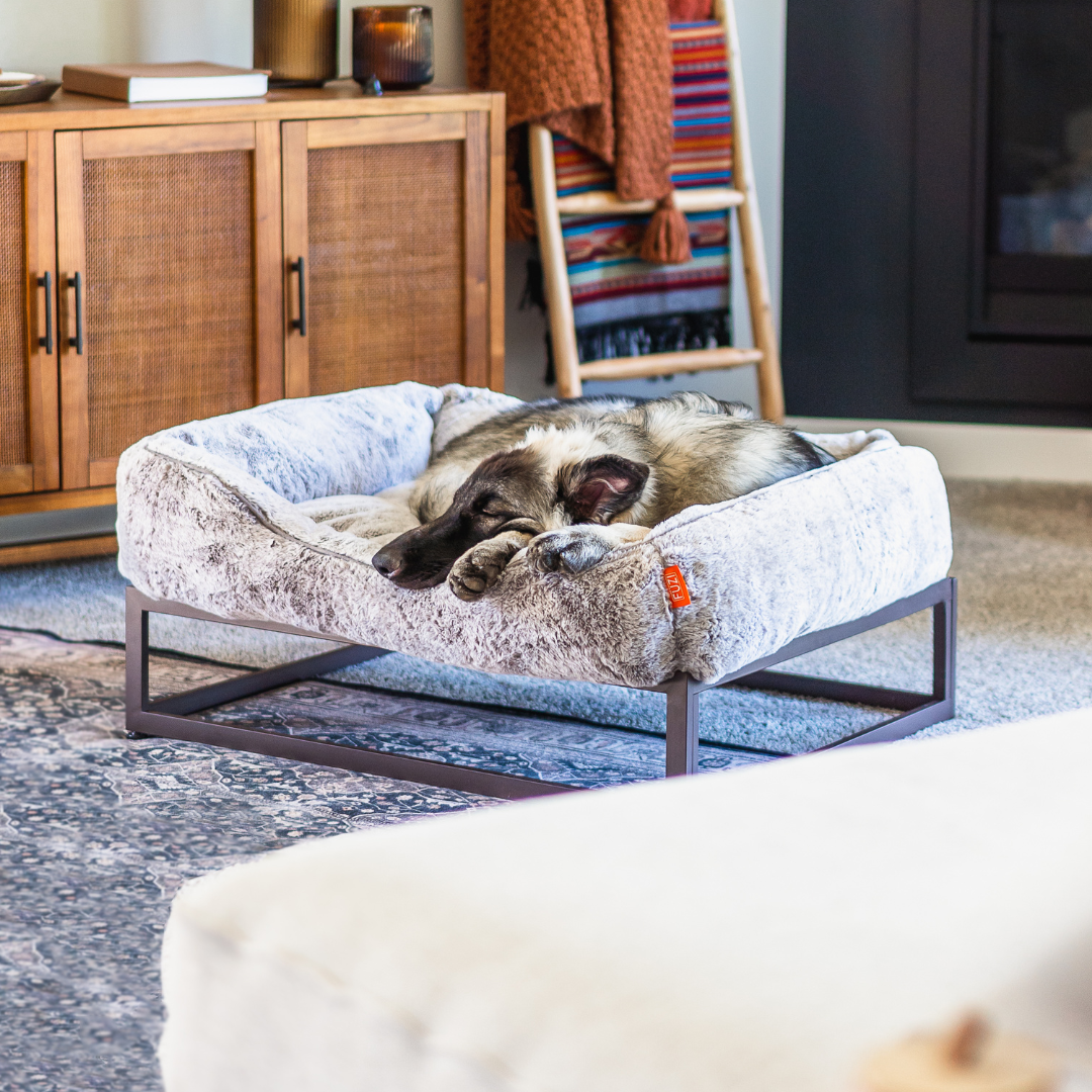 The FÜZI Dog Bed