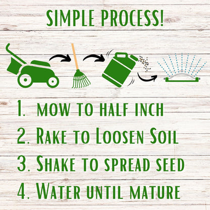 Dutch White Clover + Mow Less Grass Seed