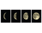 Moon Phases Set Of 4 Wall Decals | Home Decor | Kitchen + Metal