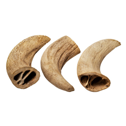 Water Buffalo Horn Core Dog Chews-2 Count-10 oz | Family Pet | Kitchen + Metal