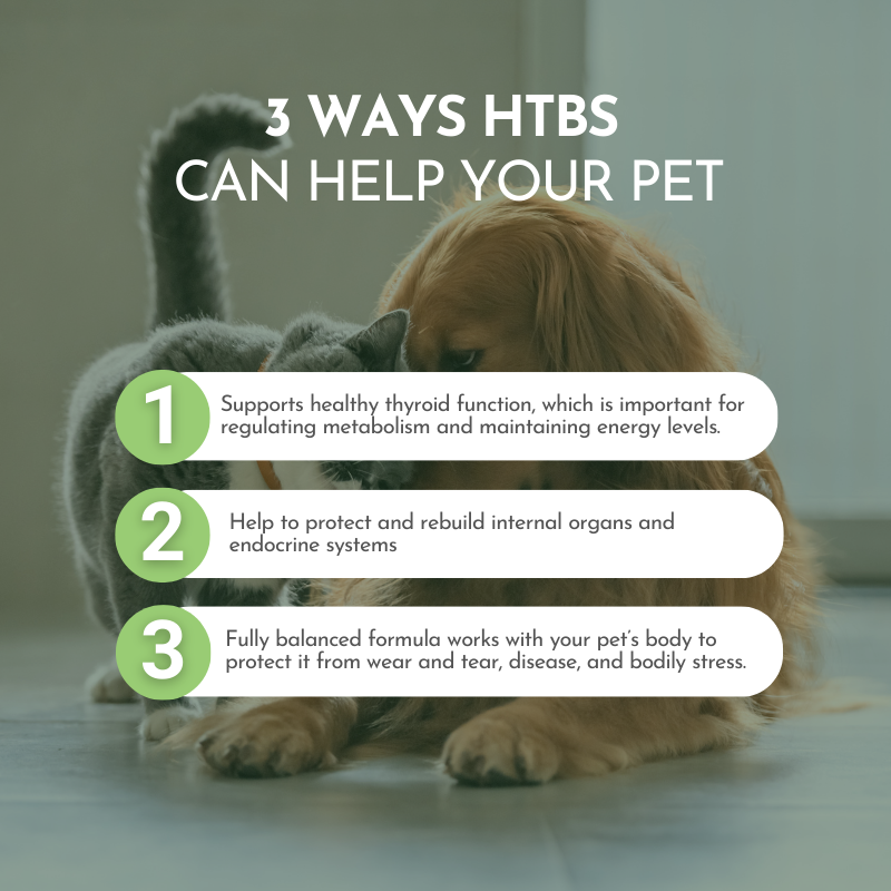 Pre-Order Holistic Total Body Support – Multivitamin & Glandular Support for Dogs and Cats