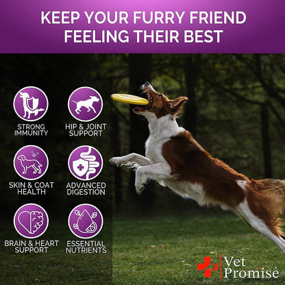 Dog running with a frisbee in the park, with health benefits icons.