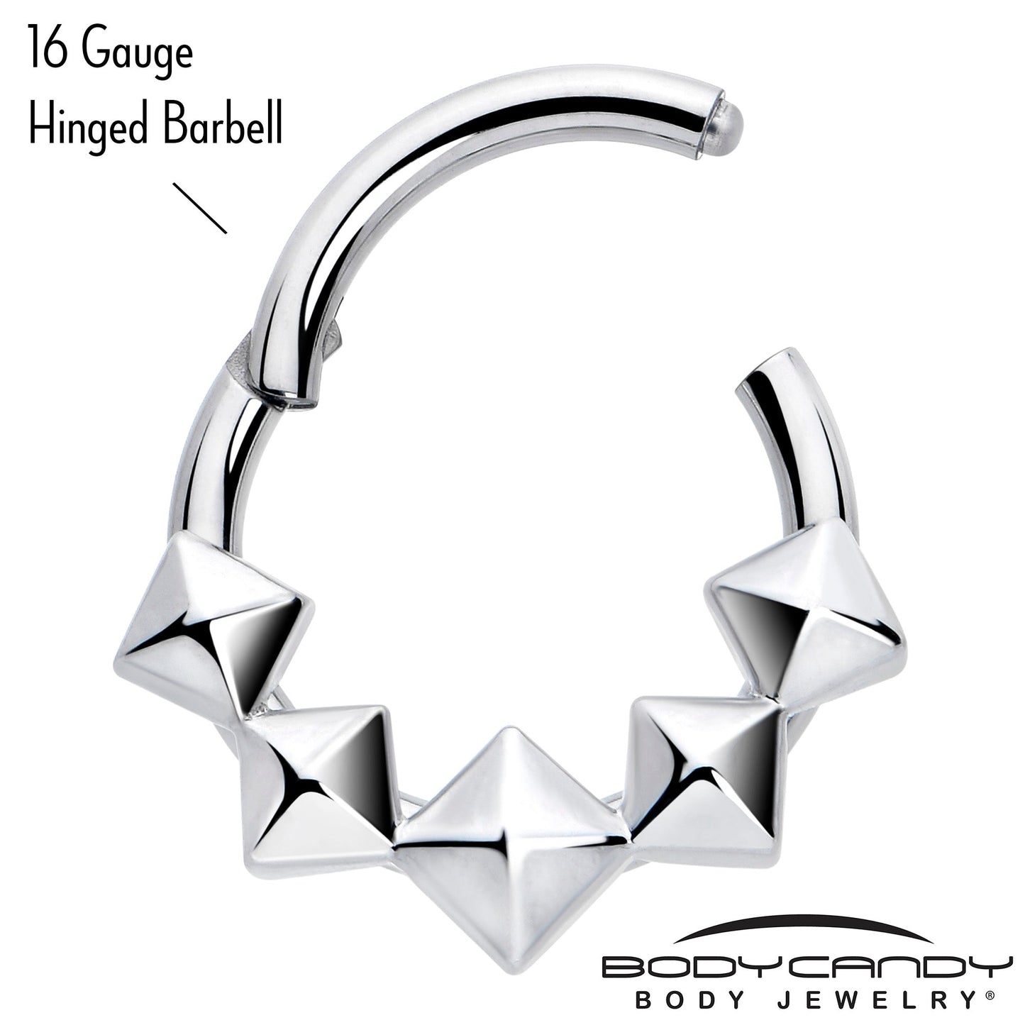 16G 5/16 3D Punk Style Hinged Segment Ring