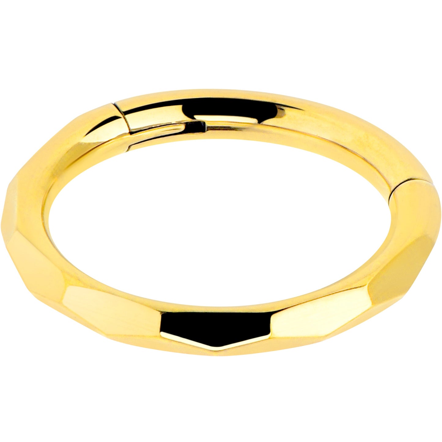 Implant Grade Titanium Hinged Segment Ring - 16G 5/16