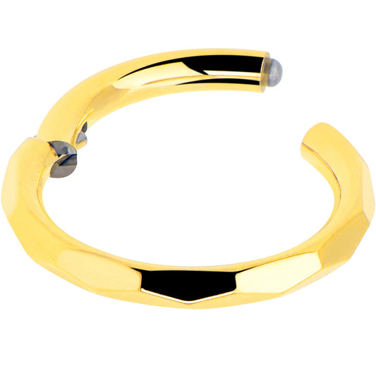 Implant Grade Titanium Hinged Segment Ring - 16G 5/16