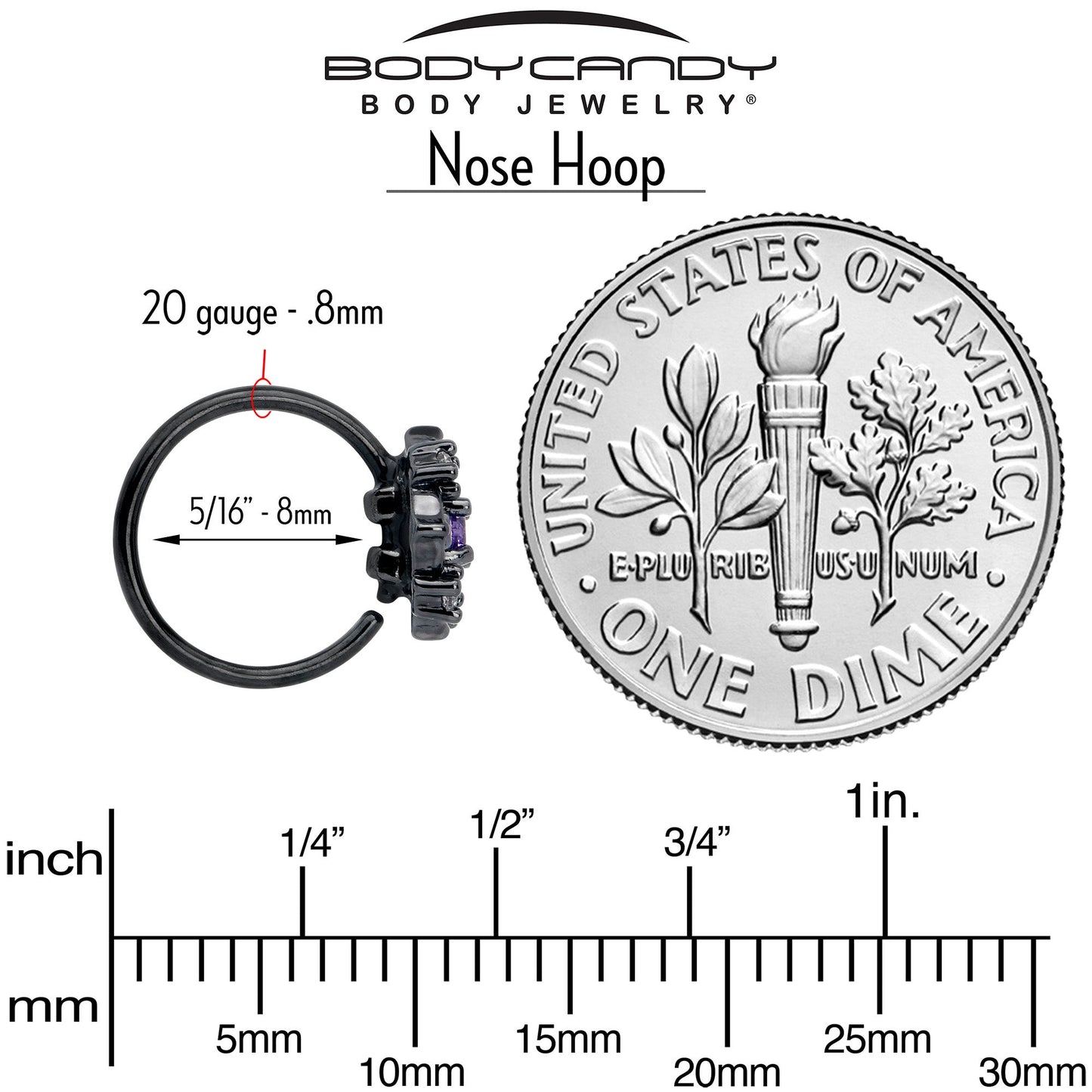 20G 5/16 Purple CZ Gem Black Flower Ring Nose Hoop