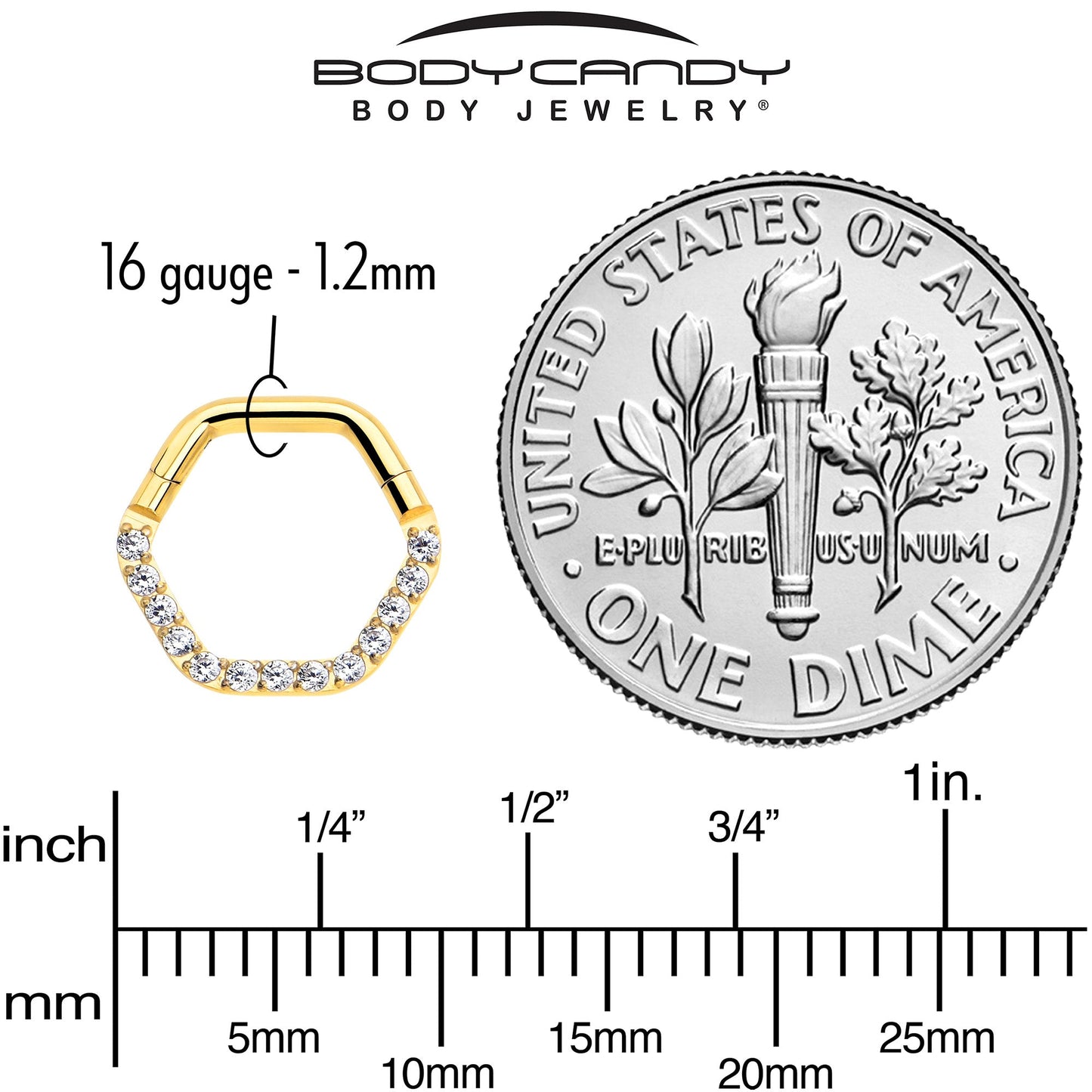 16G 5/16 Clear CZ Gem Gold Tone Hexagon Shape Hinged Segment Ring