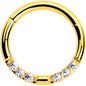 16G 5/16 CZ Gem Forward Facing Hinged Segment Ring